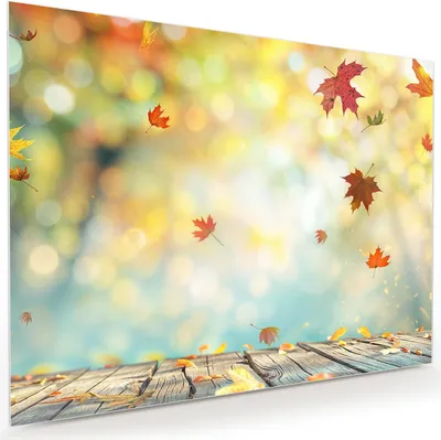 Produktbild von Glasbild 120x90cm in XXL für Wohnzimmer, Schlafzimmer Motiv Herbstlaub Wald