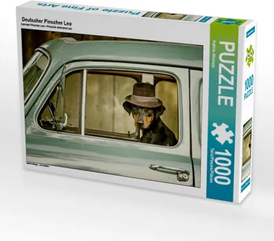 Produktbild von Calvendo Deutscher Pinscher Leo 1000 Teile Puzzle quer 640x480mm, Köntopp Kathrin; 7404263