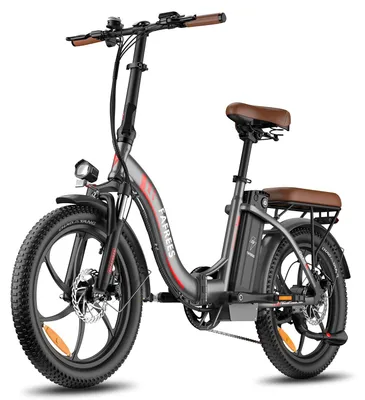 Produktbild von E-Bike FAFREES F20 Pro - Motor 250W Batterie 36V20Ah 20 Zoll Reifen Mechanische Scheibenbremsen - Gunmetal