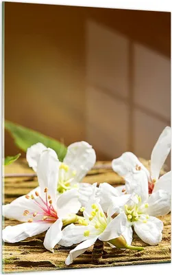 Produktbild von Bilder auf glas - Einteilig - Asien spa bambus blume - 50x70cm - Glasbilder - Wandbilder - Bilder - zum Aufhängen bereit - Wanddekoration aus Glas - Glas Bilder - Wandbild auf Glas - GPA50x70-2499