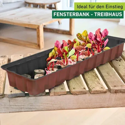 Produktbild von Zimmergewächshaus mit 30 Pflanztöpfen, 54x16x6cm