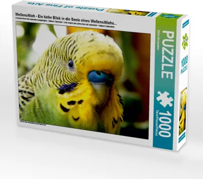 Produktbild von Calvendo Wellensittich - Ein tiefer Blick in die Seele eines Wellensittichs... 1000 Teile Puzzle quer 640x480mm, Bergmann Björn; 7387365