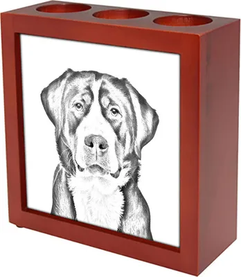 Immagine prodotto di Grande cane da pastore svizzero - portamatite con cane, organizer da tavolo con stampa, decorazione personalizzata per tavolo del marchio Art-Dog