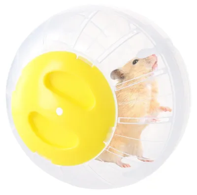 Immagine prodotto di Solidchoice - Palla per esercizi per criceti, 14,5 cm, trasparente