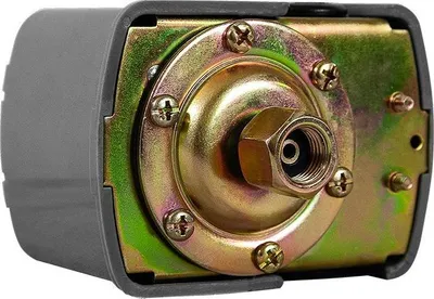 Produktbild von OMNIGENA Druckschalter 230V für Pumpen 1/4 Zoll