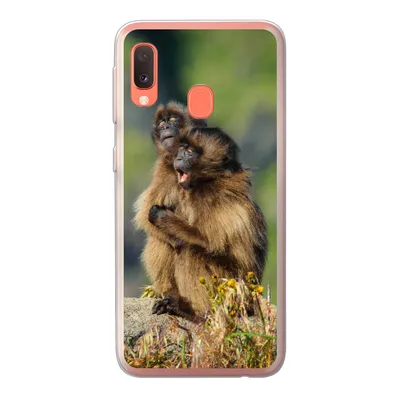 Produktbild von MuchoWow® Handyhülle Schutzhülle Hülle für Samsung Galaxy A20e Affen - Pflanzen - Steine - Familie Silikon Softcase Handy Hülle - Abdeckung