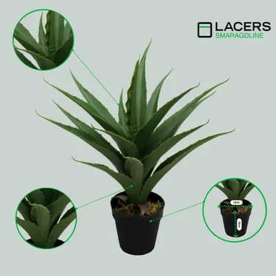 Produktbild von Lacers SMARAGDLINE Pflegeleichte künstliche Agaven – 50cm-realistische Optik-wie echt wirkende Kunstpflanze-Dekoration für Wohnzimmer, Balkon & Büro