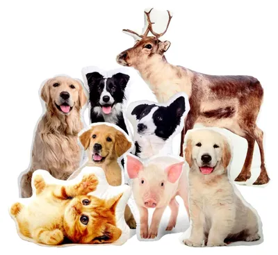 Produktbild von Personalisiertes 3D Haustier Hund Katze Kissen mit eigenem Foto Foto-Kissen Bedrucken Zum Jahrestag, Geburtstag, Valentinstag (mit Füllung) 3D Tierkissen [091]