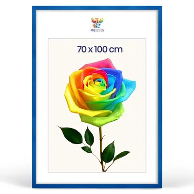 Produktbild von MG Design Bilderrahmen Blau 70x100 cm - Posterrahmen Echtholz mit Acrylglas, verstärkte Wandaufhängung, hoch/quer