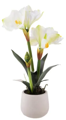 Immagine prodotto di Amaryllis Artificiale con Vaso Altezza 64 cm Bianco