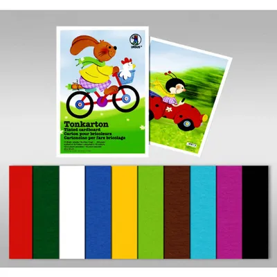 Produktbild von Tonkarton 220g/qm 23x33cm VE=10 Bogen 10 Farben sortiert