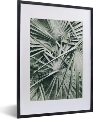 Produktbild von MuchoWow® Gerahmtes Poster Tropisch - Palmenblatt - Grün 30x40 cm - Poster mit Schwarzem Bilderrahmen Wandposter Rahmen Foto Bilder - Wandposter Schlafzimmer