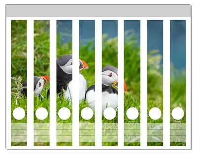 Produktbild von Wallario Ordnerrücken Sticker, selbstklebend für schmale Ordner, 8 Stück, Motiv Papageitaucher im Gras