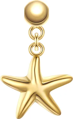 Produktbild von Glanzstücke München Charm Seestern Sterling Silber 50084181