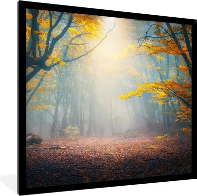 Produktbild von MuchoWow® Gerahmtes Poster Wald - Nebel - Herbst 40x40 cm - Poster mit Schwarzem Bilderrahmen Wandposter Rahmen Foto Bilder - Mit Rahmen - Wanddekoration Schlafzimmer