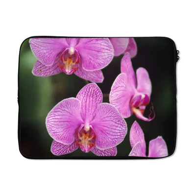 Produktbild von MuchoWow® Laptop Hülle 15 Zoll Rosa Orchidee Laptoptasche - Laptoptasche - Sleeve - Rundum-Schutz