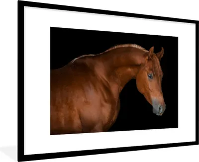 Produktbild von MuchoWow® MuchoWow® Gerahmtes Poster Pferd - Schwarz - Braun 90x60 cm - Poster mit zchwarzem Bilderrahmen - Wanddekoration - Fotos