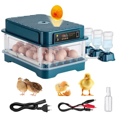 Brutmaschine für 24 Eier, automatische Wendung & Temperaturregelung