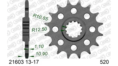 Produktbild von AFAM Kettenritzel 21603-16 Vorne Stahl