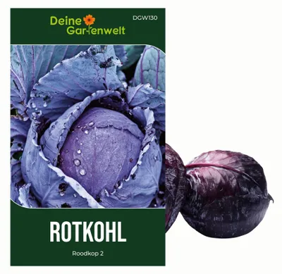Produktbild von Rotkohl Roodkop 2 Samen - Brassica oleracea - Rotkohlsamen - Gemüsesamen - Saatgut für 120 Pflanzen