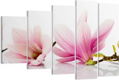 Produktbild von Bild auf Leinwand - Leinwandbild - Magnolie blume natur pflanze - 150x100cm - Wand Bild - Wanddeko - Leinwanddruck - Bilder - Kunstdruck - Wanddekoration - Leinwand bilder - Wandkunst - EG150x100-2641