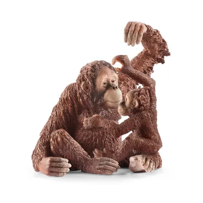 Obrázok produktu pre Schleich - Figúrky zvierat, samica orangutana; 14775