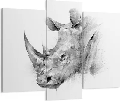 Produktbild von Bild auf Leinwand - Leinwandbild - 3 Teile - Nashorn Porträt Grafik - 130x100cm - Wand Bild - Wanddeko - Wandbilder - Leinwanddruck - Bilder - Wanddekoration - Leinwand bilder - CB130x100-4378