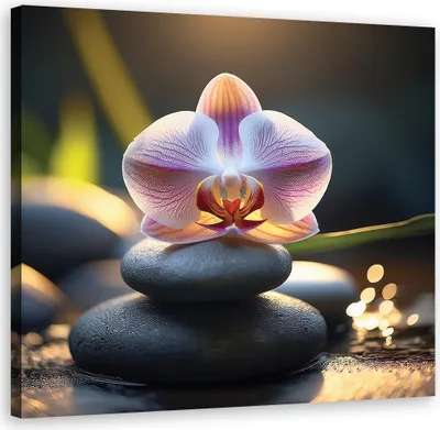Produktbild von Leinwandbild Orientalische Steine und Blumen 40x40 Feeby Grün bild für die wand bereit zum aufhängen