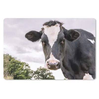 Produktbild von MuchoWow® Schreibtischunterlage Kuh - Tier - Porträt - Schwarz 60x40 cm - XXL Mauspad - Großes Mauspad
