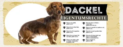 Produktbild von vianmo Blechschild 10x27 cm Hund Dackel Eigentumsrechte