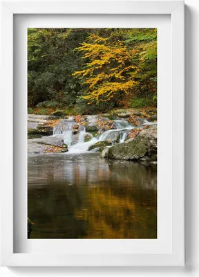Produktbild von Grüne Landschaft an einem Waldbach– Wandbild mit Rahmen – Gerahmtes Bild  – Wanddekoration – 20x30 cm – Weiß