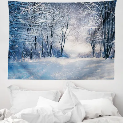 Produktbild von ABAKUHAUS Winter Wandteppich, Alley in verschneitem Wald aus Weiches Mikrofaser Stoff Waschbar ohne Verblassen Digitaldruck, 150 x 110 cm, Blau Schwarz Weiß