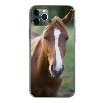 Produktbild von MuchoWow® Handyhülle Schutzhülle Hülle für iPhone 11 Pro Max Pferd - Natur - Porträt Silikon Softcase Handy Hülle - Schutz