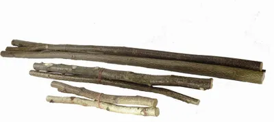 Produktbild von Elmato 10614 Naturholz Sitzstangen- Nussbaum, 100 cm, 2 Stück