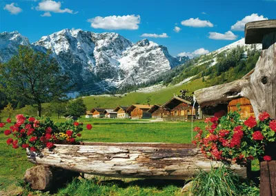 Zdjęcie produktu dla Puzzle 1000T. Blick in die Bergidylle