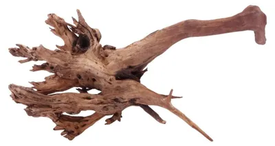 Produktbild von XL Driftwood Flußwurzel Nr.4927 Holz Deko Aquascaping