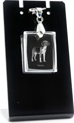 Image de Harrier - Pendentif en cristal avec chien, collier avec photo, bijoux uniques d'Art-Dog