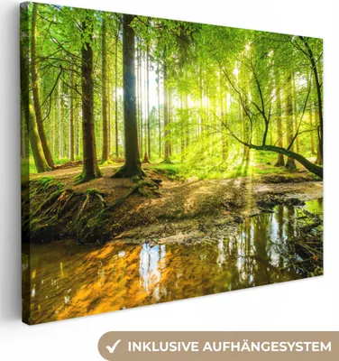 Obrázek produktu pro OneMillionCanvasses® - Obrazy na plátně - Les - Krajina - Voda - Stromy - Slunce - Zelená - Příroda, nástěnné umění, nástěnné dekorace Obývací pokoj, 80x60cm