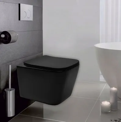 A modern black wall-mounted toilet in a bathroom setting, with a toilet brush and toilet paper holder visible.
