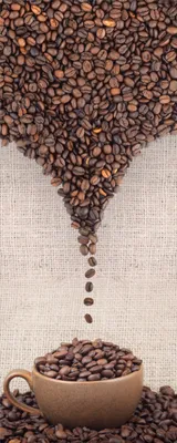 Produktbild von Wallario selbstklebendes Poster - Tasse mit Kaffeebohnen - Kaffeedesign, Größe: 80 x 200 cm