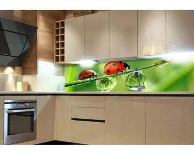 Zdjęcie produktu dla Fototapety Dimex do kuchni, samoprzylepne - Biedronka 60 x 180 cm