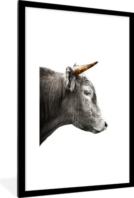 Produktbild von MuchoWow® MuchoWow® Gerahmtes Poster Schottisches Hochlandrind - Tiere - Kuh 60x90 cm - Poster mit zchwarzem Bilderrahmen - Dekoration - Wandposter Wohnzimmer - Hochwertig