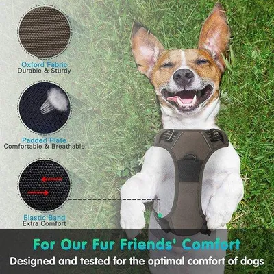 Produktbild von Hundegeschirr Hunde-Harness robust