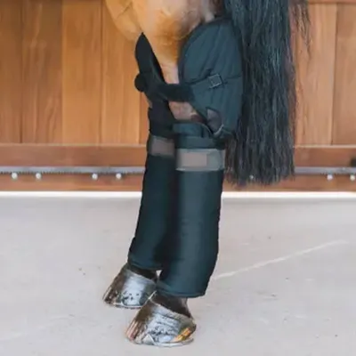 Produktbild von Kentucky Horsewear Transport- und Stallbandagierunterlagen mit Sprunggelenkschutz Transportgamaschen Black Full