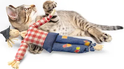 Produktbild von Katzenspielzeug mit Katzenminze · Vogelscheuche · handgefertigtes Spielkissen