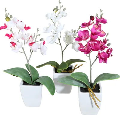 Produktbild von 1x Kunstpflanze Mini-Orchidee 3er Set Deko, Blume