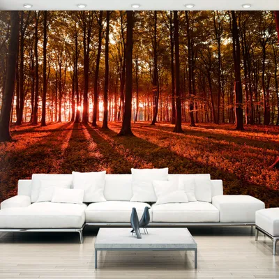Produktbild von Basera Selbstklebende Fototapete Waldmotiv c-B-0127-a-d, mit UV-Schutz, 392x280 cm