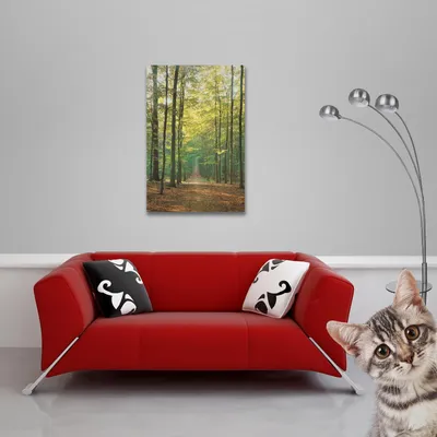 Obrázek produktu pro Lesy - Plakát - Lesní cesta + 1 plakát o velikosti 61x91,5cm
