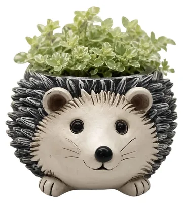 Immagine prodotto di Vaso Egel per piante grasse e fiori
