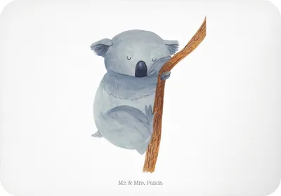 Produktbild von Mr. & Mrs. Panda magnet Koalabär - Weiß - Geschenk, Pinnwandmagnet, Koala, bildmagnet, schlafen, whiteboardmagnet, Traum, Lustige Sprüche, Kühlschrankmagnet, Traumland
